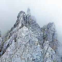 Coty e Isma - Relato De Monos