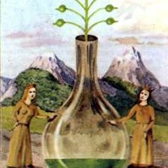 Alquimia (Orlando Santa/Roberto Bohrges/Lisa Beth) - voz: Orlando Santa