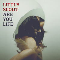 Little Scout - Go Quietly