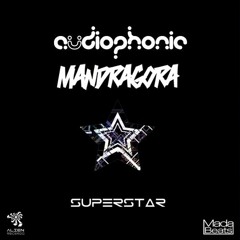 Mandragora & Audiophonic - Superstar