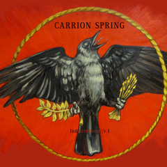 "Gimme Hope" by CARRION SPRING