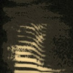 NORTHERN MOCKINGBIRD Mimus Polyglottos Song