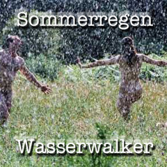 Sommerregen (Warmduscher Edit)