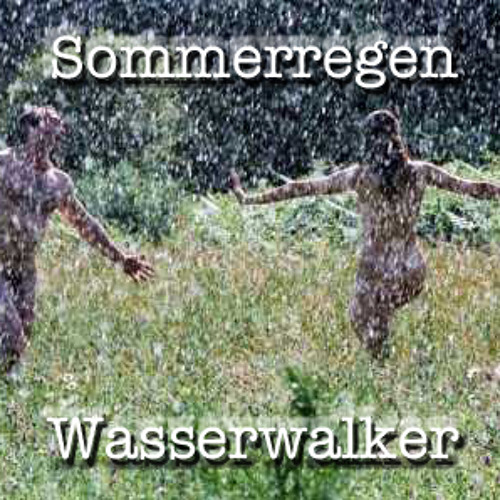 Sommerregen (Warmduscher Edit)