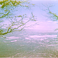 Pale plumes of dullness (mark so, 2013)