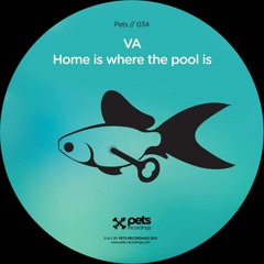 Borrowed Identity - Baise-Moi Dit-Elle (Pets Recordings, Poland) Snippet