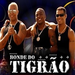Bonde do Tigrão - Prisioneira (Base)