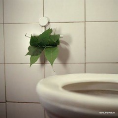 don't use the leaf