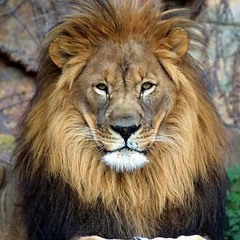 Blackjack Gone Wild Promo Mix