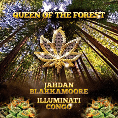 Jahdan Blakkamoore feat. Illuminati Congo - Queen Of The Forest [2013]
