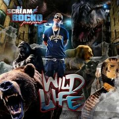 Rocko Wildlife Remake With My Own Twist at Athens,ga