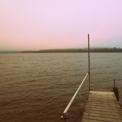 Broder Daniel - Shoreline (COVER)