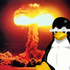 Penguin Careening Down A Hill At Mach 5