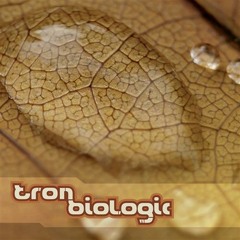 Tron vs Beatnik - HD (Liquid Records 2009)