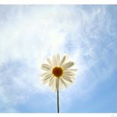 Nice Day