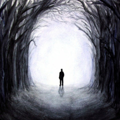 Alone In The Woods Mixed By The element