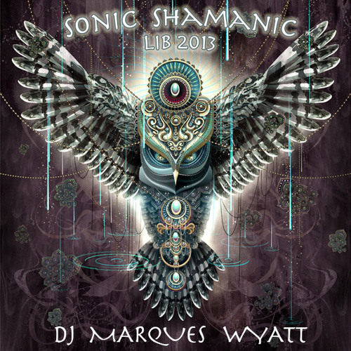 Sonic Shamanic (LIB 2013)- DJ Marques Wyatt