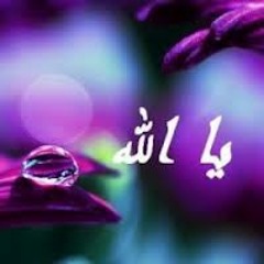 الشيخ أيمن صيدح