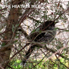 So Much To Tell You (Original demo version)