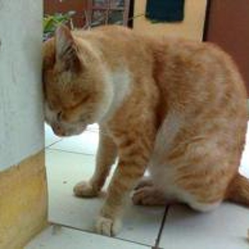 08A - DEEP FEAR RE'BOTTLEG MIX