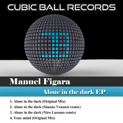 Manuel Figara - Alone in the dark (Niro Lassano Remix)