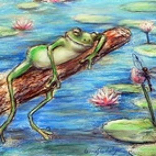 Shadowfinder - Tiny frog's summer dream