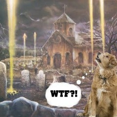 ACME AFTER THE RAPTURE PET CARE at #10 HQ