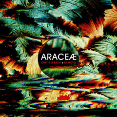 Le Motel x Curtis is Back - Araceae