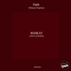 Ubucus [Redkay Remix]