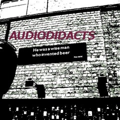 AUDIODIDACTS - TUNNELBLICK (192kb)
