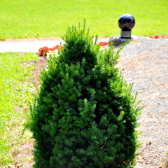 Wächter über Oberwart - "Wächtermedley" + "Guten Mutes"