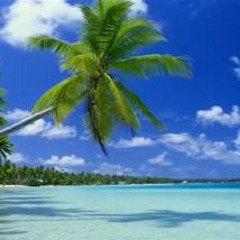 Der Junge ist verliebt - Pohlmann (Remix)