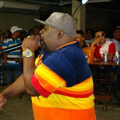 MC Bobô :: Especial CD Roda de Funk ao vivo ::