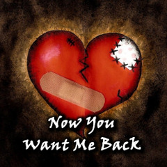 Now You Want Me Back
