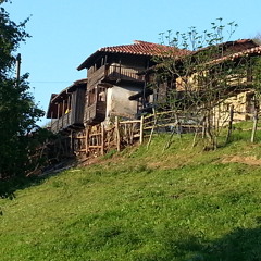 Jahjazz - I´m Green