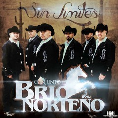 Conjunto Brio Norteño-Como Tu Querer en vivo