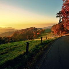 Gratitude and Letting Go - Talk and Collaborative Meditation