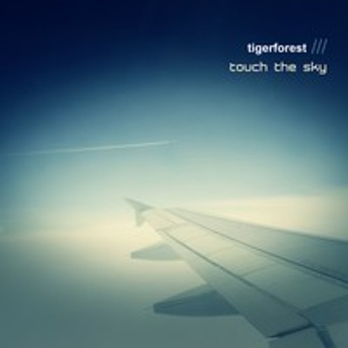 Touch The Sky -Tigerforest (R3dub Mix)