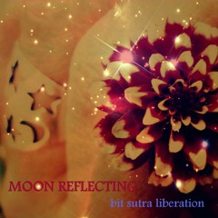 Bit Sutra Liberation