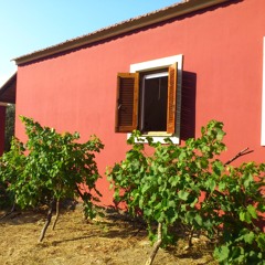 Let the summer in (July 2013)