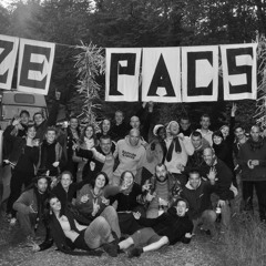 Pygz Intro Pacs 2012