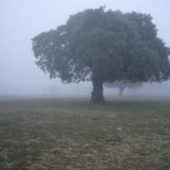 Mi Bruma - Arkemia N. ( Prod. Idenmetrik - Nomadestudios.)