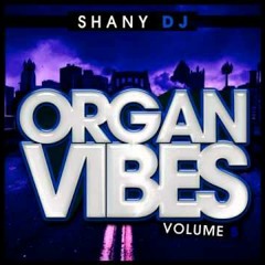 Shaun Dunn - Hotstepper (Organ Mix)