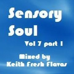 Sensory Soul Vol 7 - Part 1 (Day Mix)
