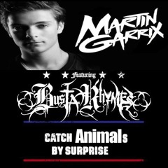 Busta Rhymes + Martin Garrix - Catch Animals By Surprise (ILMADIK Remix)