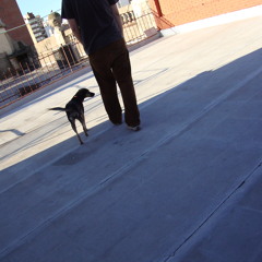 Los rosarios del corsario