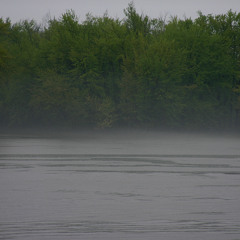 Into the mist - Milana