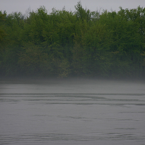 Into the mist - Milana