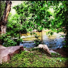 Creekside Vibrations