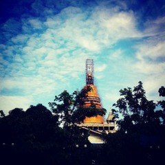 ข้อความ pause